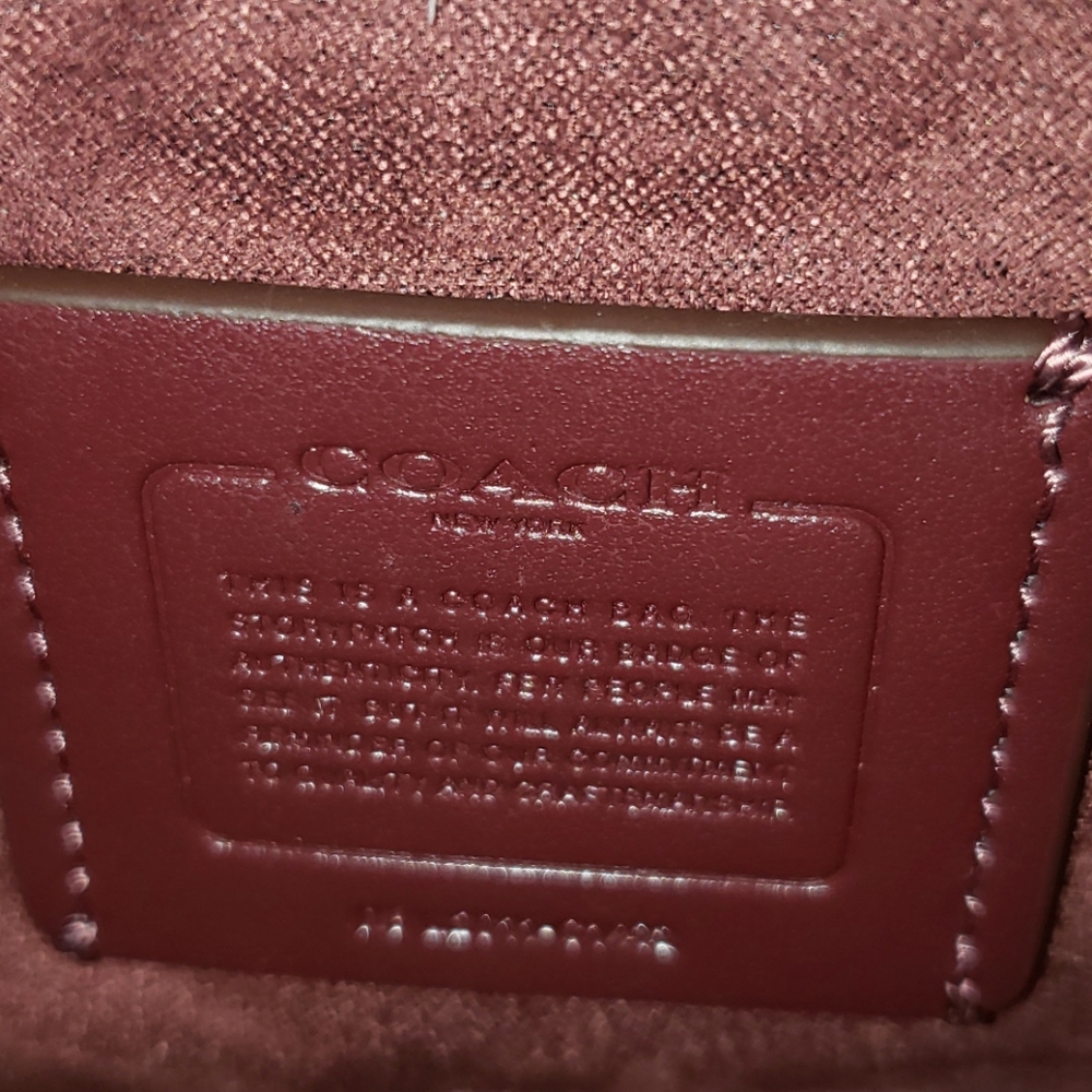 NWT Coach Ellen Crossbody Leather Bag Tangerine - Picture 9 of 13